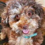 d73c2a08d50e0b49278cdec8b3e66565